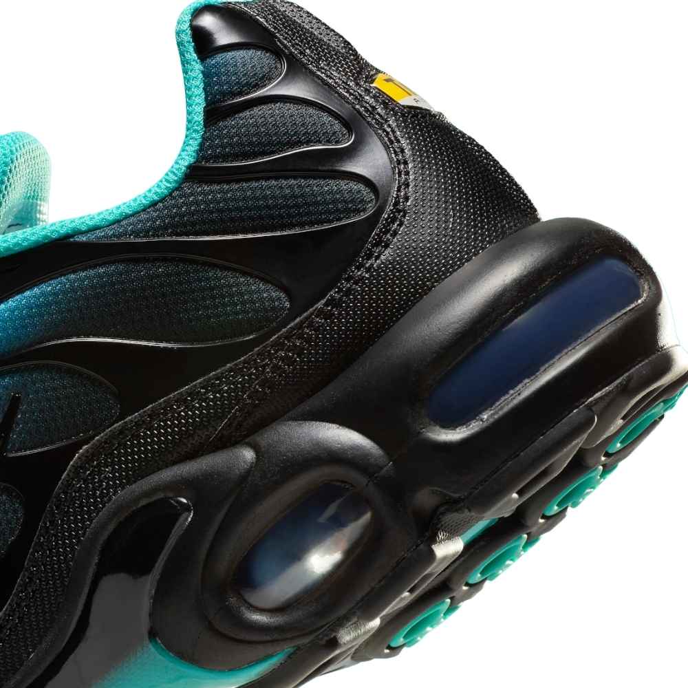 Black and Blue Nike Tn Air Max Plus Aqua Fade Men's Sleektrainers DM0032-401