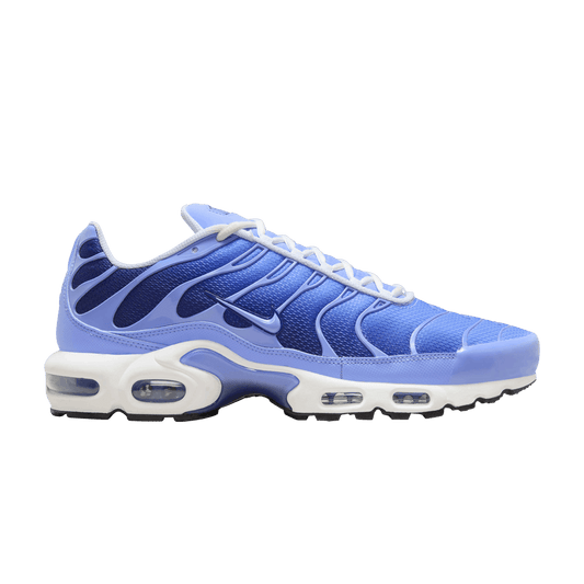Blue and White Nike Tn Air Max Plus Royal Pulse Men's DM0032-403 Sleektrainers