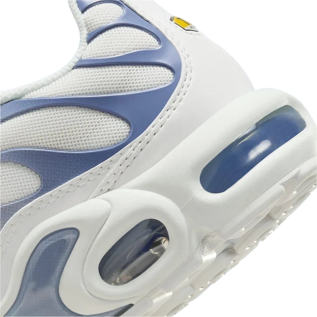 Blue and White Nike Tn Air Max Plus Ashen Slate Armory Women's DZ3671-104