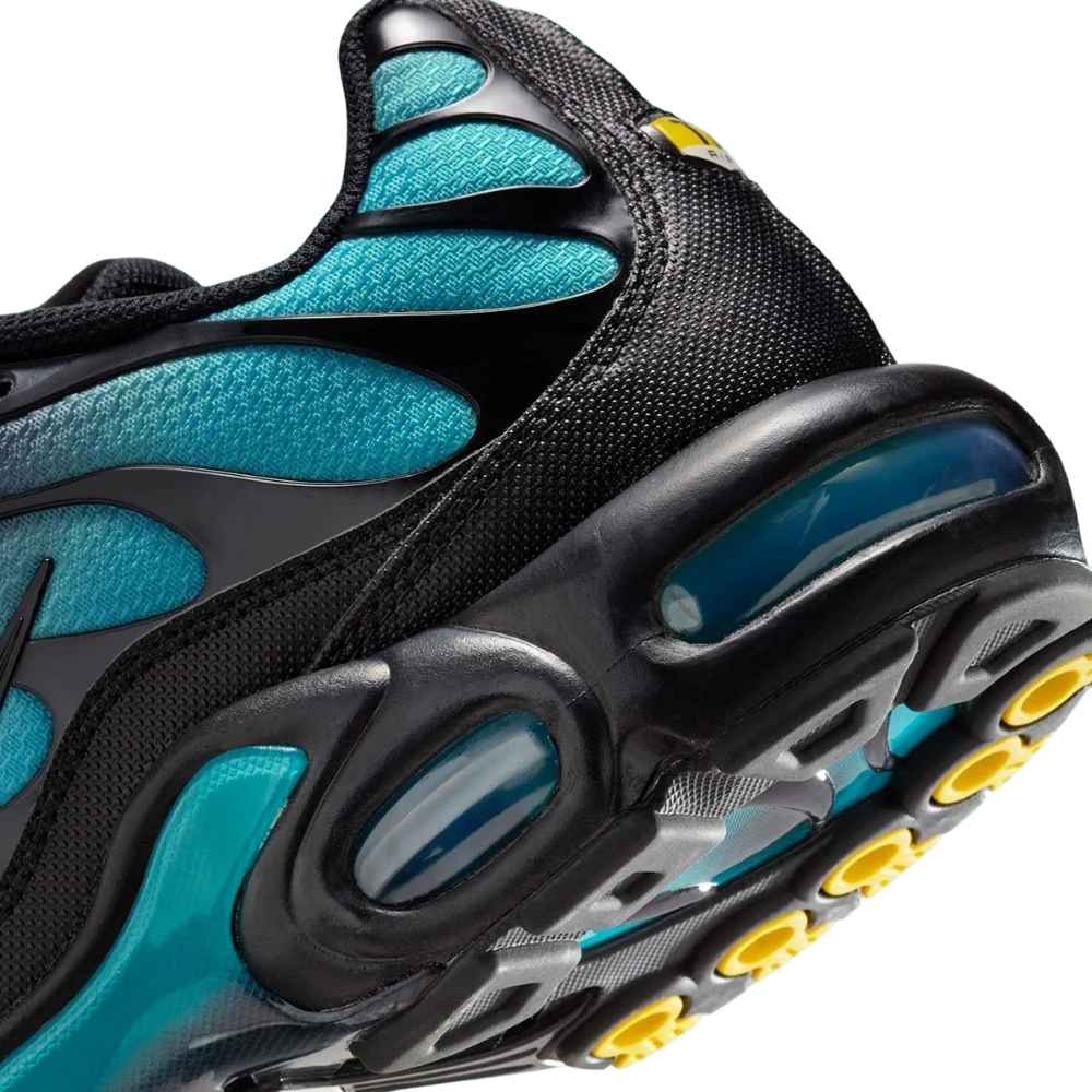 Black and Blue Nike TN Air Max Plus Black Dusty Cactus Aruba Men's Sleektrainers DM0032-016