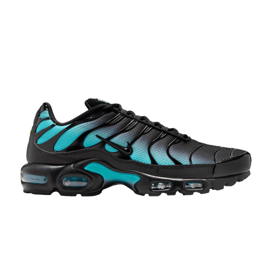 Black and Blue Nike TN Air Max Plus Black Dusty Cactus Aruba Men's Sleektrainers DM0032-016