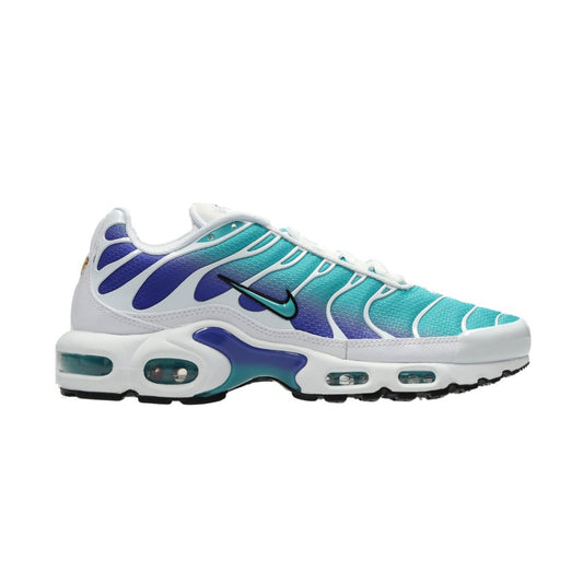 Blue and White Nike Tn Air Max Plus Bleached Aqua Dusty Cactus Men's DM0032-102
