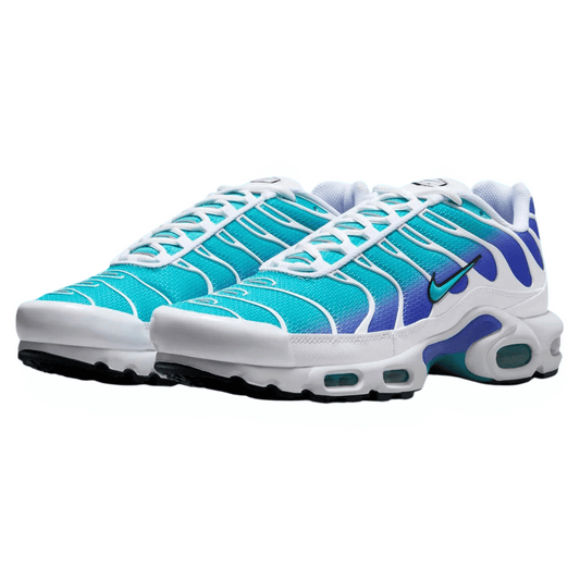 Blue and White Nike Tn Air Max Plus Bleached Aqua Dusty Cactus Men's DM0032-102