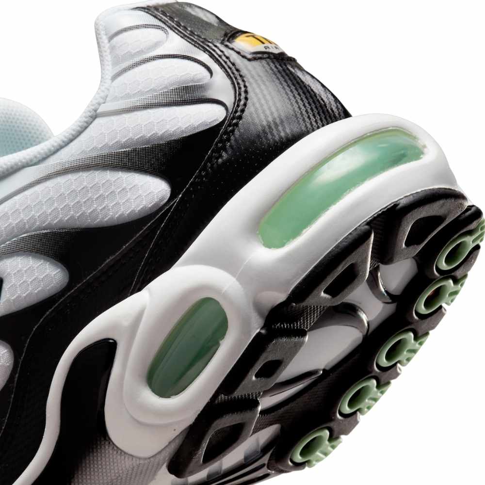 Green and Black Nike Tn Air Max Plus Fresh Mint Men's DH4776-100 Sleektrainers