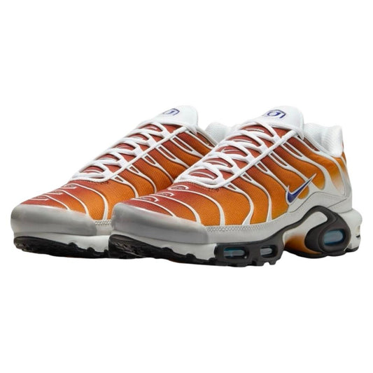 Brown and Purple Nike tn one block down chutney cold sun FZ3308-700 sleektrainers