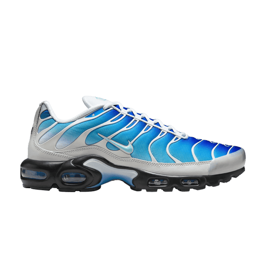 Blue and Black Nike Tn Air Max Plus x One Block Down Dry Water O.B.D. FZ3308-400 Men's Sleektrainers