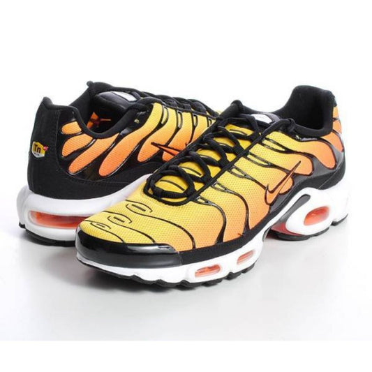 Nike Tn - Sunset (2014) - Men's