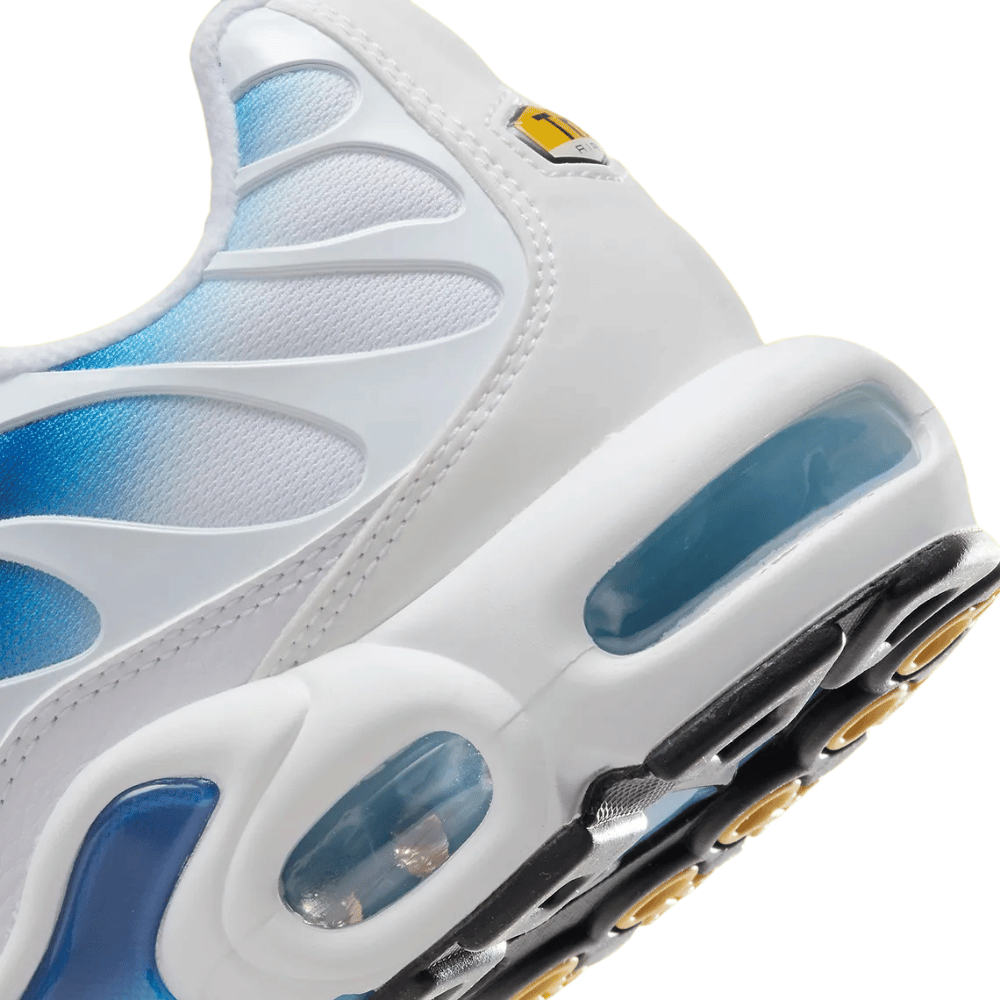 Blue and White Nike Tn Air Max Plus Blue Jay Spray Paint Swoosh DX8962-100