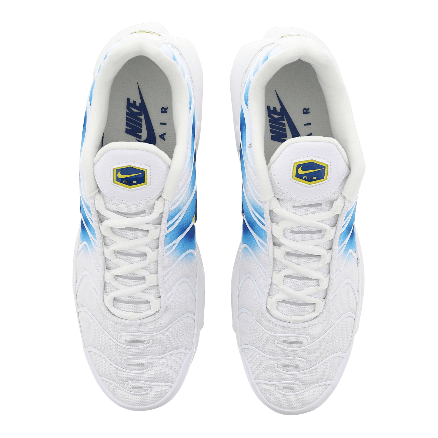 Blue and White Nike Tn Air Max Plus Blue Jay Spray Paint Swoosh DX8962-100