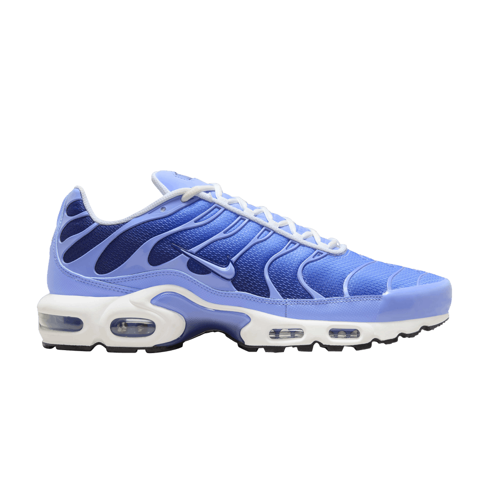 Blue and White Nike Tn Air Max Plus Royal Pulse Men's DM0032-403 Sleektrainers