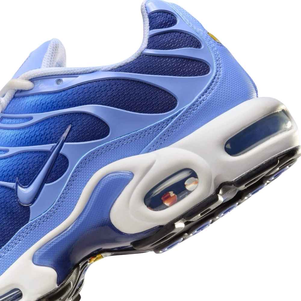 Blue and White Nike Tn Air Max Plus Royal Pulse Men's DM0032-403 Sleektrainers