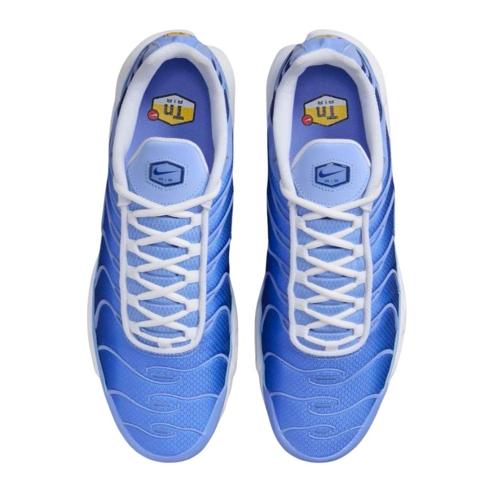 Blue and White Nike Tn Air Max Plus Royal Pulse Men's DM0032-403 Sleektrainers