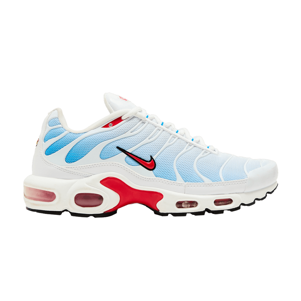 Red and blue Nike tn tide air max plus 604133-423