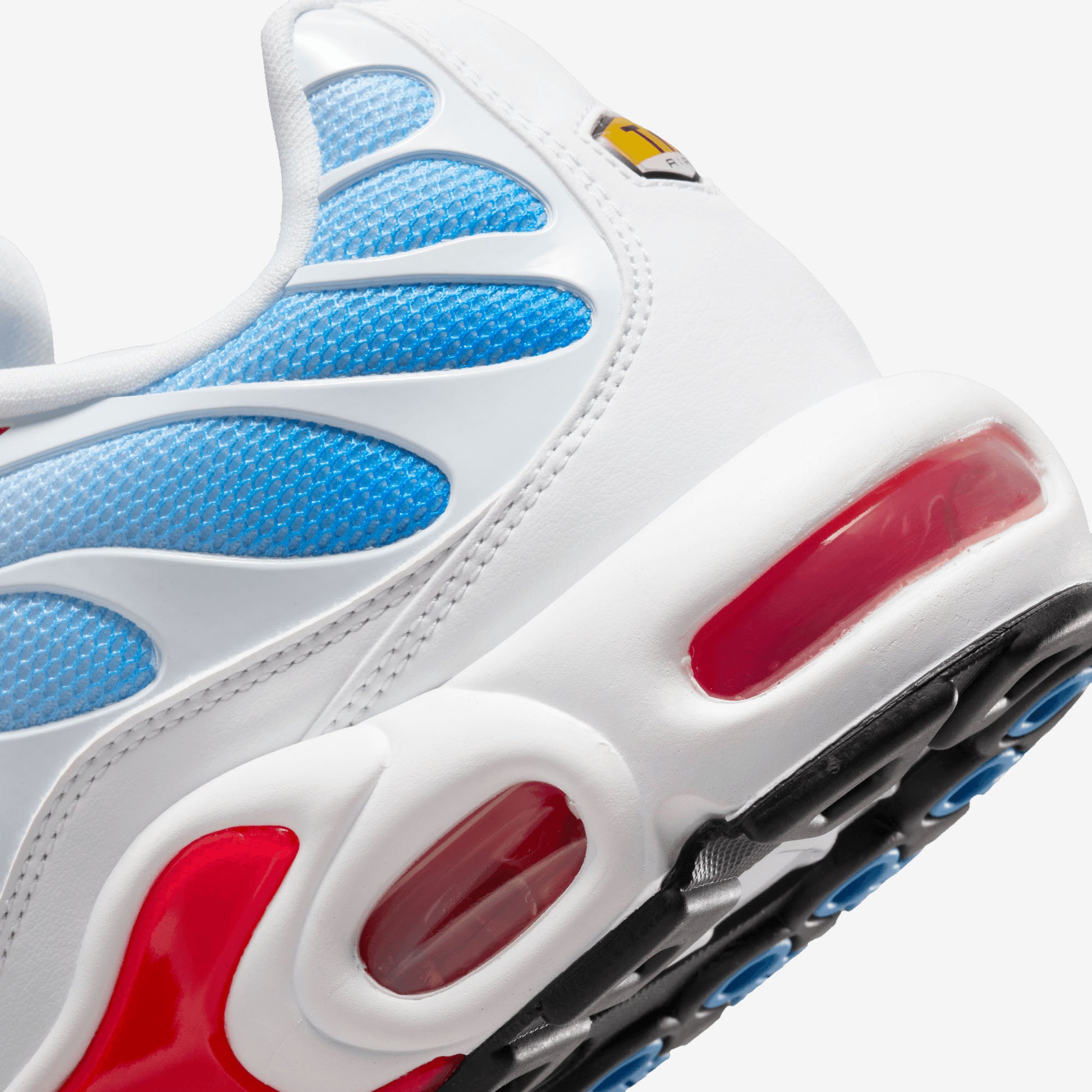 Red and blue Nike tn tide air max plus 604133-423