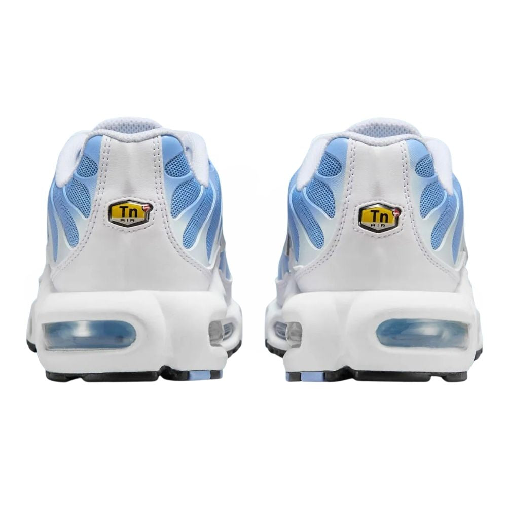 Nike TN Air Max Plus Aluminum Blue Metallic Silver Women's DZ3671-105 Sleektrainers