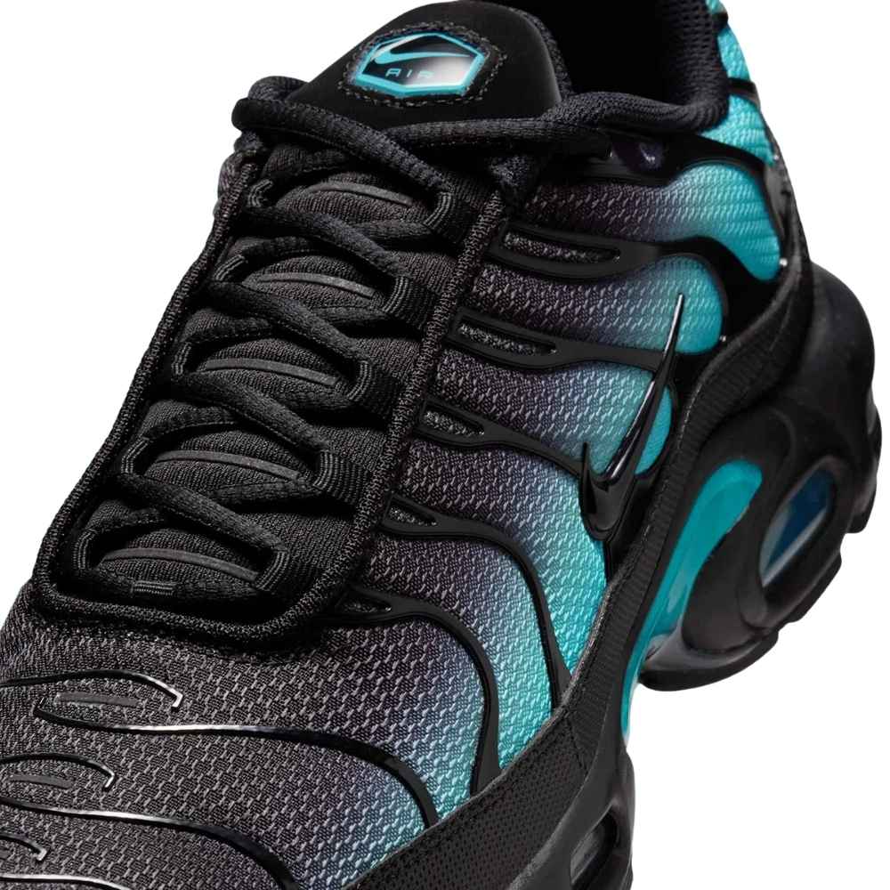 Black and Blue Nike TN Air Max Plus Black Dusty Cactus Aruba Men's Sleektrainers DM0032-016