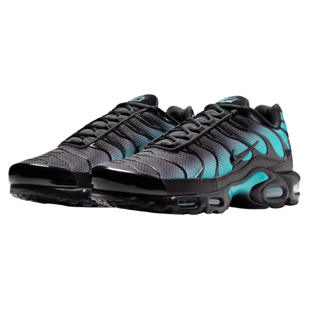 Black and Blue Nike TN Air Max Plus Black Dusty Cactus Aruba Men's Sleektrainers DM0032-016