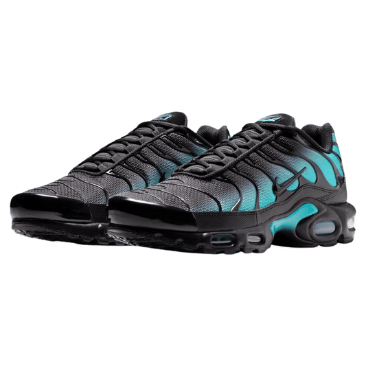 Black and Blue Nike TN Air Max Plus Black Dusty Cactus Aruba Men's Sleektrainers DM0032-016