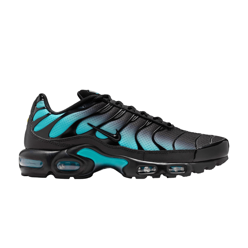 Black and Blue Nike TN Air Max Plus Black Dusty Cactus Aruba Men's Sleektrainers DM0032-016