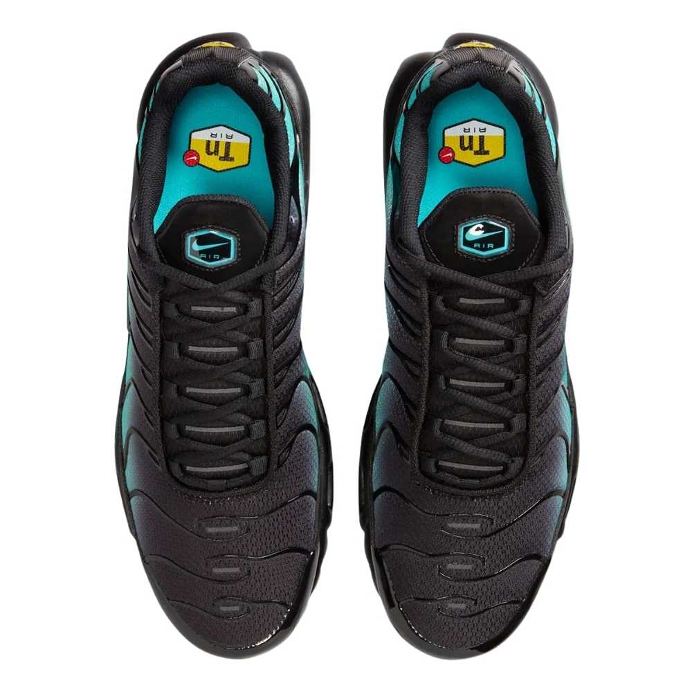 Black and Blue Nike TN Air Max Plus Black Dusty Cactus Aruba Men's Sleektrainers DM0032-016