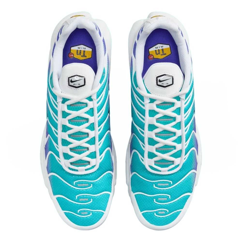 Blue and White Nike Tn Air Max Plus Bleached Aqua Dusty Cactus Men's DM0032-102