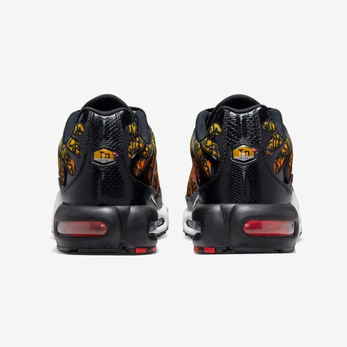 Black and Blue Nike Tn Air Max Plus Brixton Graffiti Men's DX2665-001