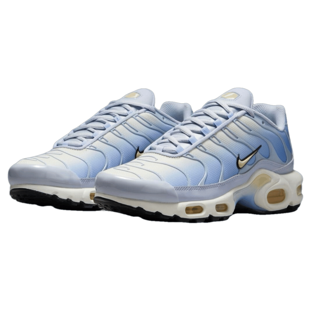 Blue and White Nike TN Air Max Plus Daybreak Women's DZ3670-004 Sleektrainers