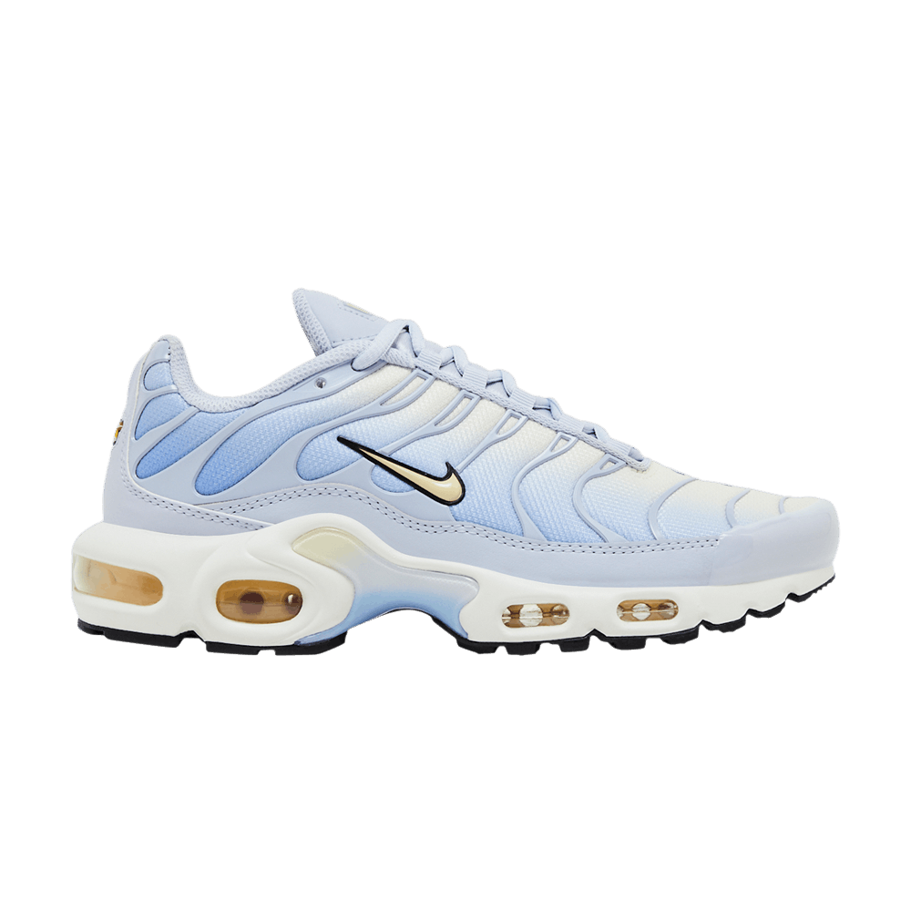 Blue and White Nike TN Air Max Plus Daybreak Women's DZ3670-004 Sleektrainers