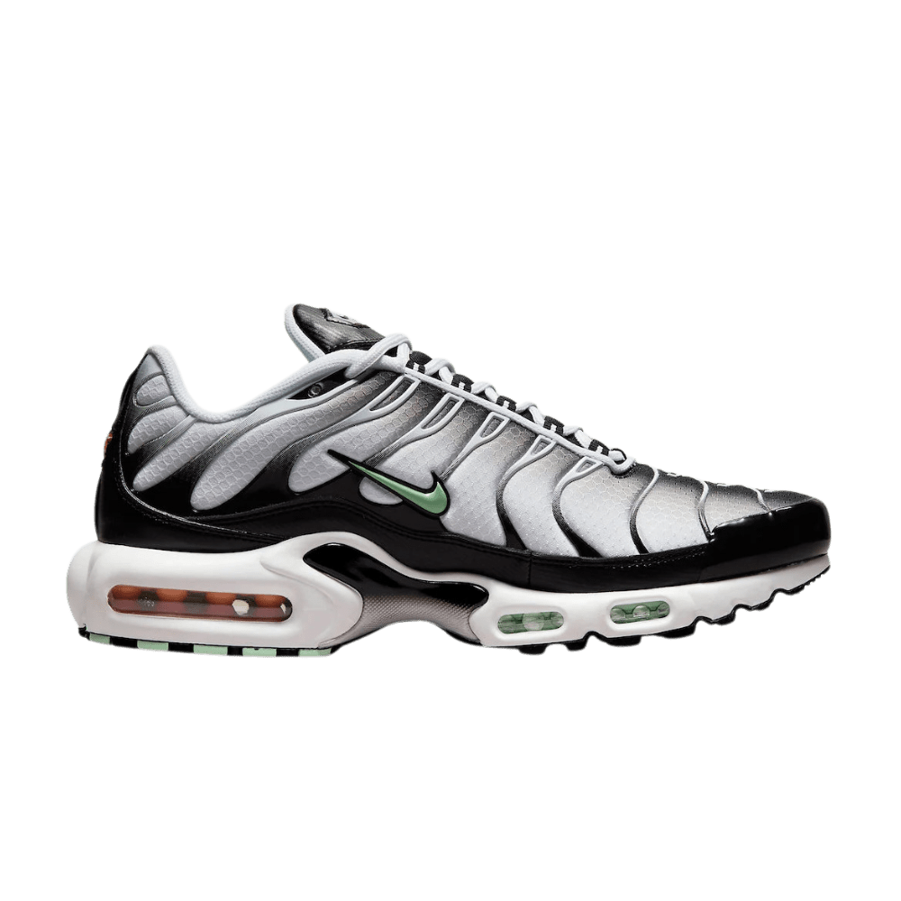 Green and Black Nike Tn Air Max Plus Fresh Mint Men's DH4776-100 Sleektrainers