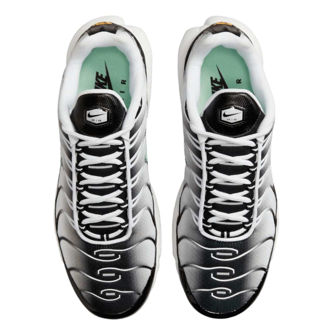 Green and Black Nike Tn Air Max Plus Fresh Mint Men's DH4776-100