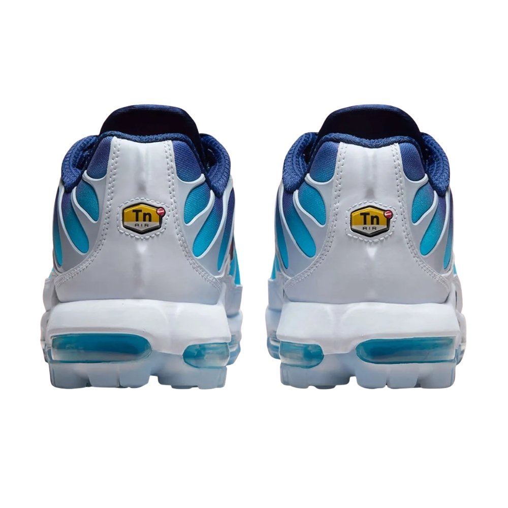 Blue Nike TN Air Max Plus Golf PGA Championship Sleektrainers HJ4517-400
