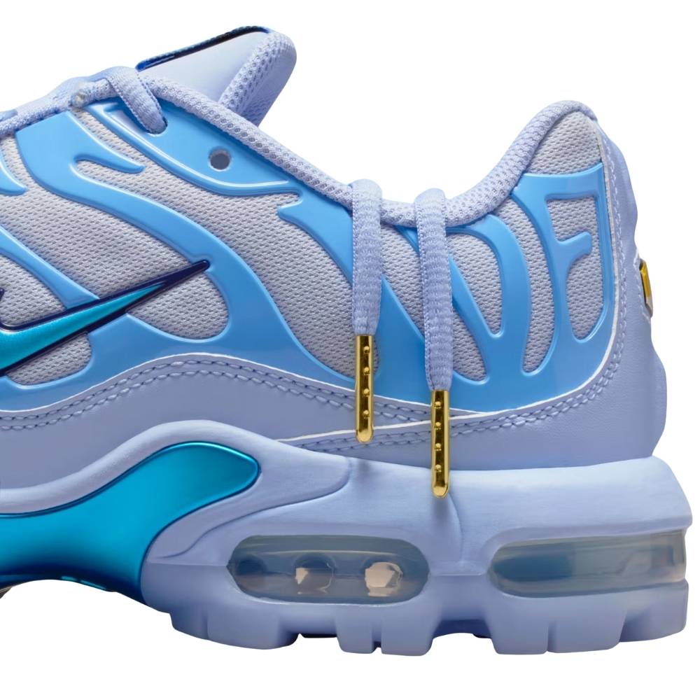 Blue Nike TN Air Max Plus Golf x Eastside Takeflight Special Collaboration HV4363-400 Sleektrainers