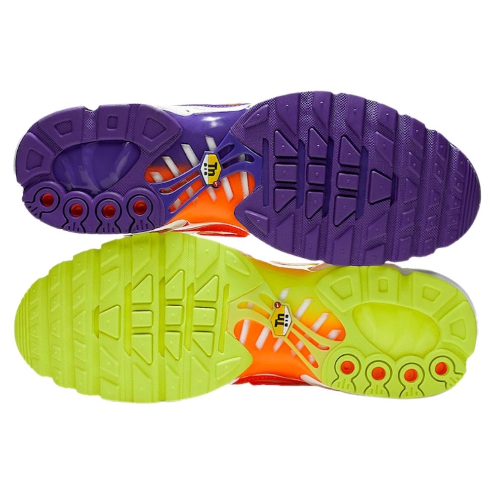 Multicoloured Nike TN Air Max Plus Light Colour Flip CI5924-531 Sleektrainers