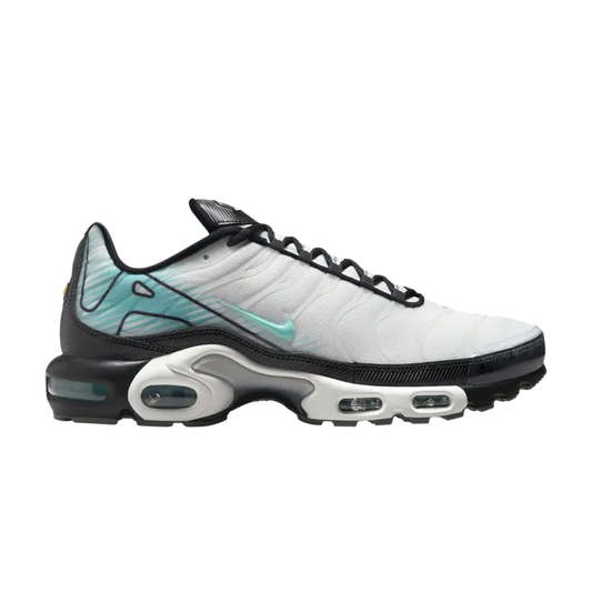 Blue and White Nike Tn Air Max Plus Mercurial Vapor Men's Sleektrainers HV6225-100 