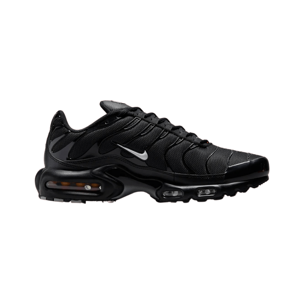 Nike Air Max Plus TN Multi Swoosh Black Starburst Men's FJ4224-001 