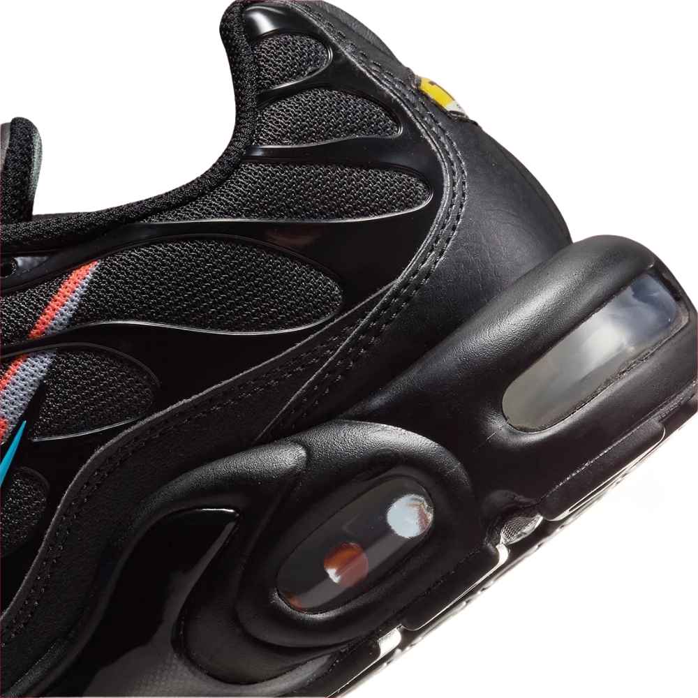 Nike Air Max Plus TN Multi Swoosh Black Starburst Men's FJ4224-001 