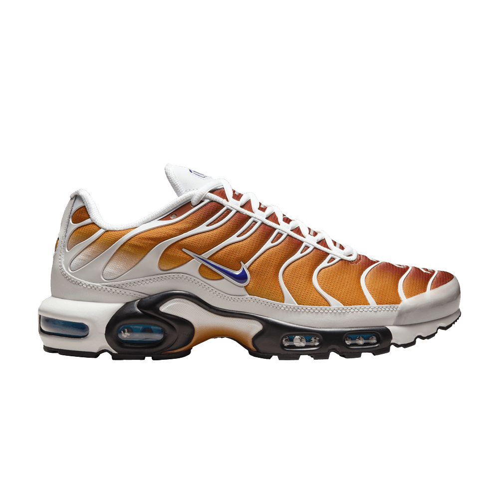 Brown and Purple Nike tn one block down chutney cold sun FZ3308-700 sleektrainers