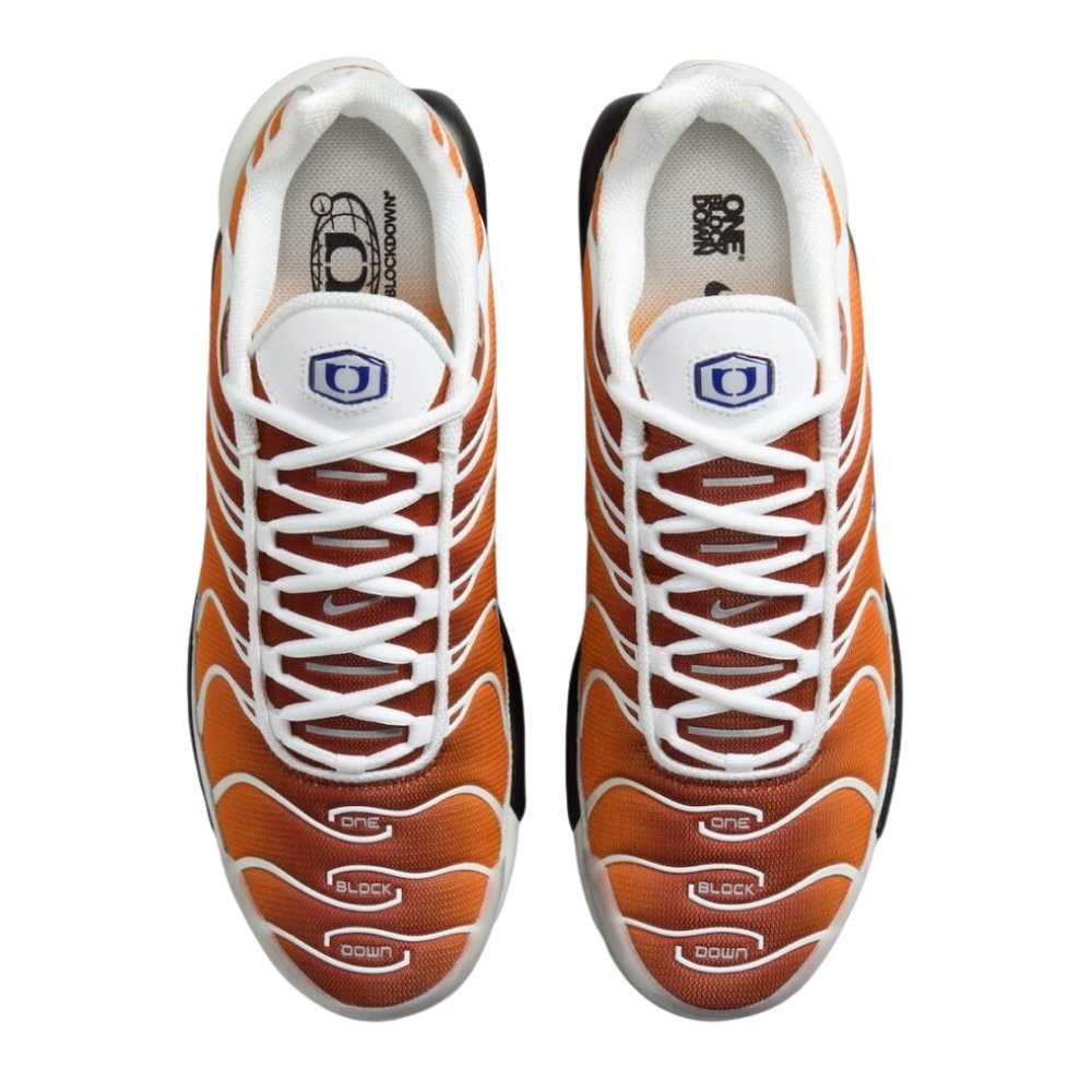 Brown and Purple Nike tn one block down chutney cold sun FZ3308-700 sleektrainers