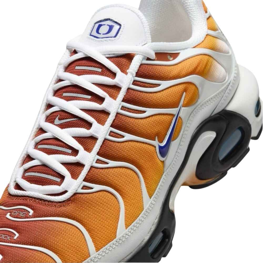 Brown and Purple Nike tn one block down chutney cold sun FZ3308-700 sleektrainers
