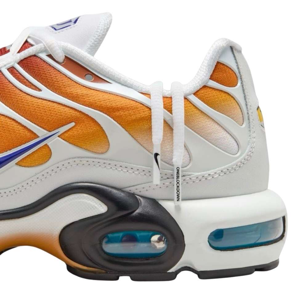Brown and Purple Nike tn one block down chutney cold sun FZ3308-700 sleektrainers