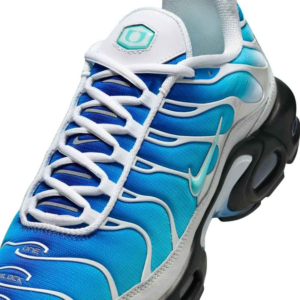 Blue and Black Nike Tn Air Max Plus x One Block Down Dry Water O.B.D. FZ3308-400 Men's Sleektrainers