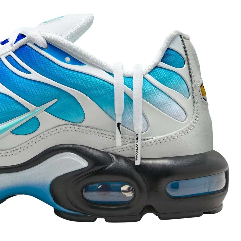 Blue and Black Nike Tn Air Max Plus x One Block Down Dry Water O.B.D. FZ3308-400 Men's Sleektrainers
