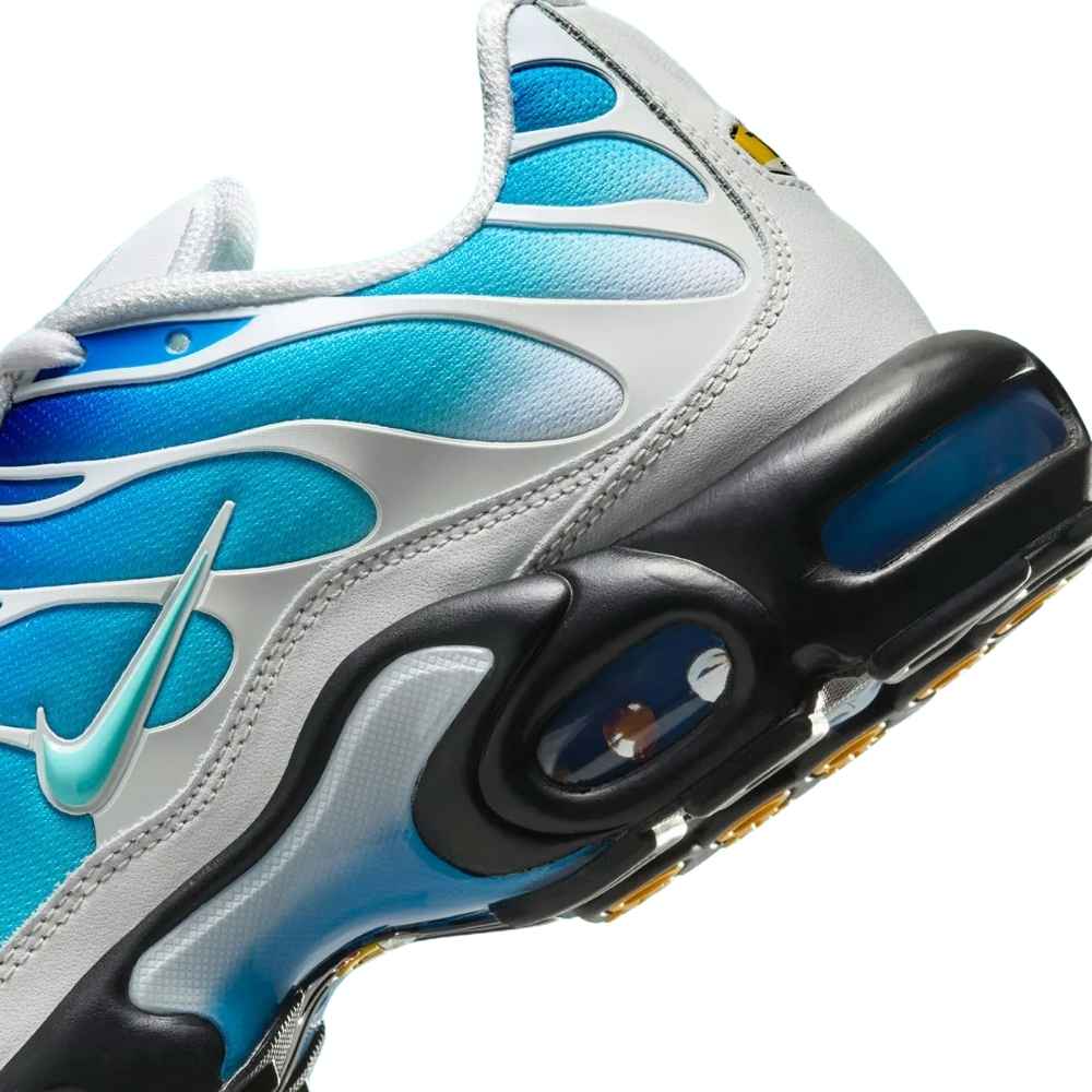 Blue and Black Nike Tn Air Max Plus x One Block Down Dry Water O.B.D. FZ3308-400 Men's Sleektrainers