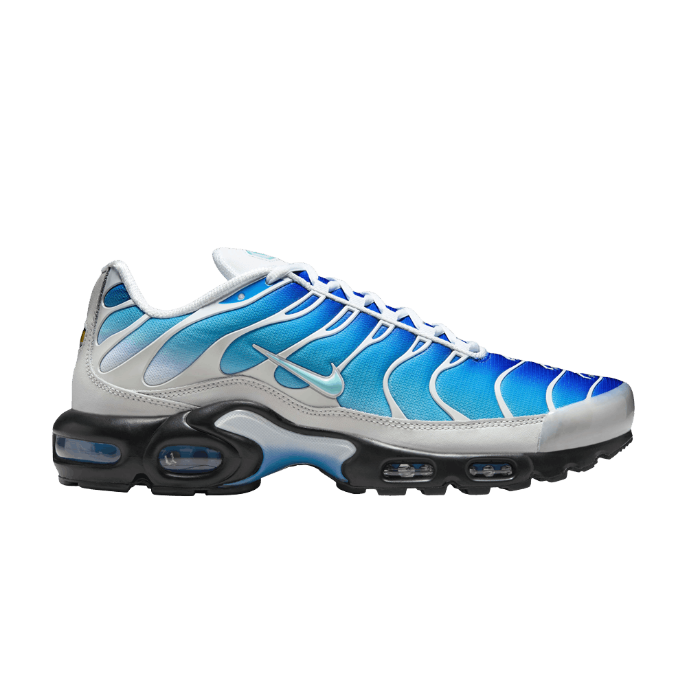 Blue and Black Nike Tn Air Max Plus x One Block Down Dry Water O.B.D. FZ3308-400 Men's Sleektrainers