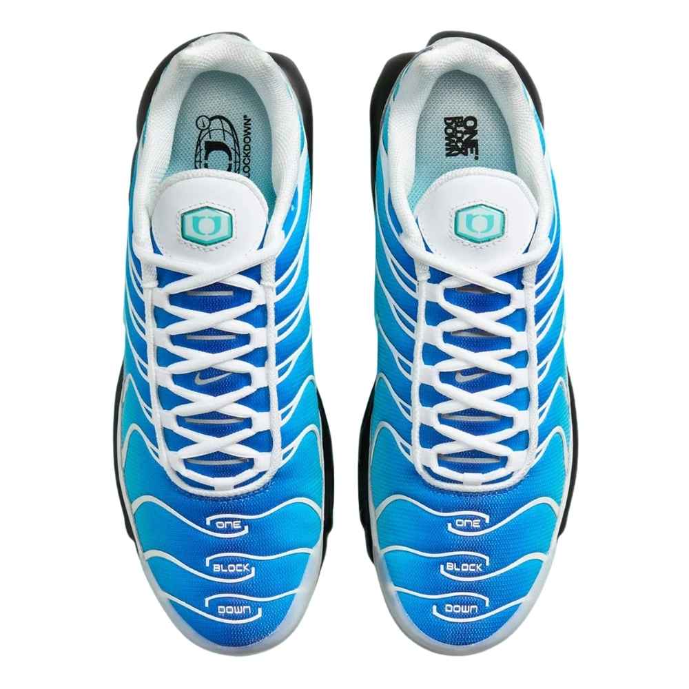 Blue and Black Nike Tn Air Max Plus x One Block Down Dry Water O.B.D. FZ3308-400 Men's Sleektrainers