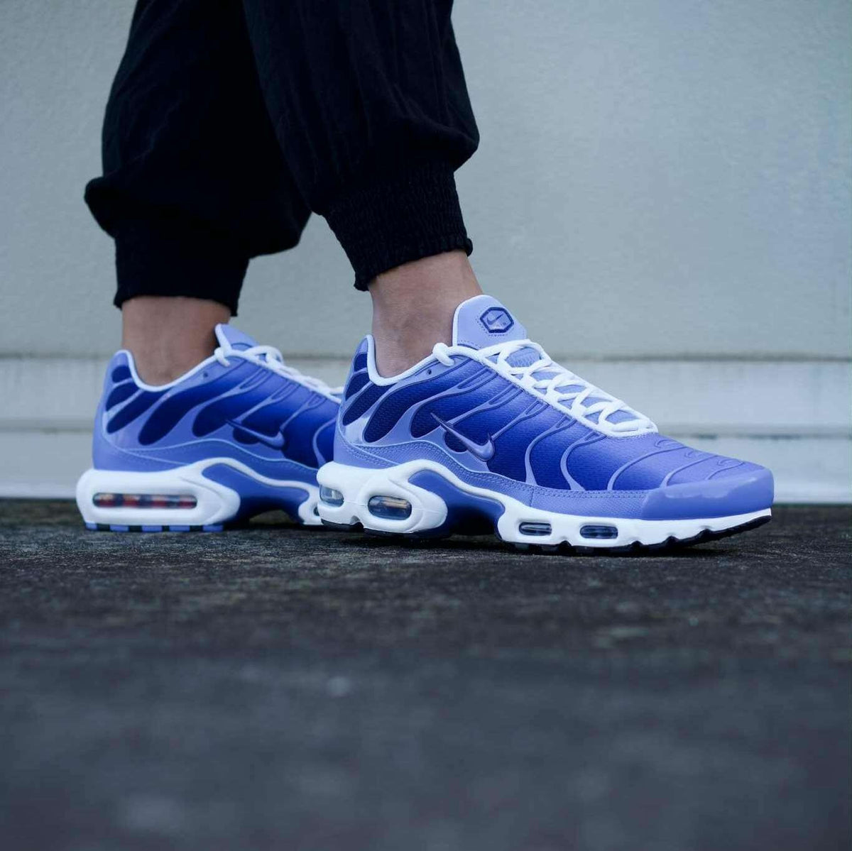 White and Blue Nike TN Air Max Plus Royal Pulse DM0032-403 Sleektrainers