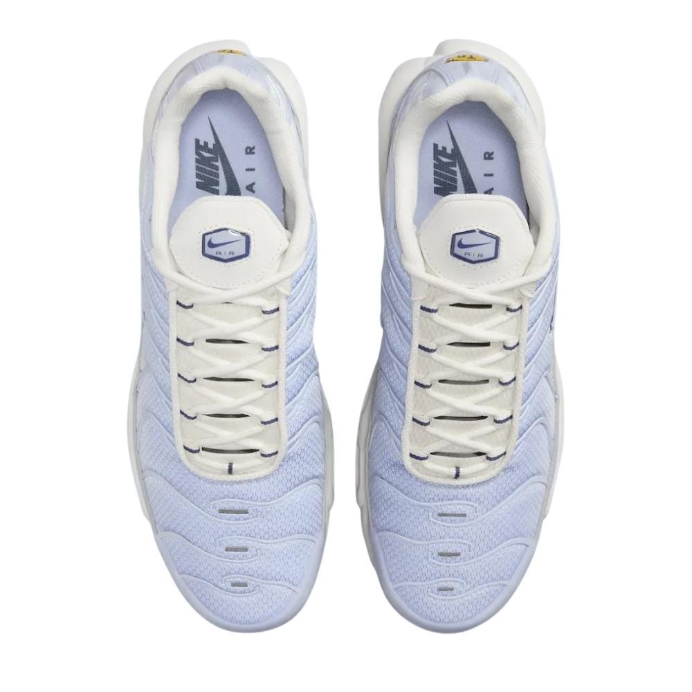 Blue Nike Tn Air Max Plus Sanded Purple IH0269-030 Men's Sleektrainers 