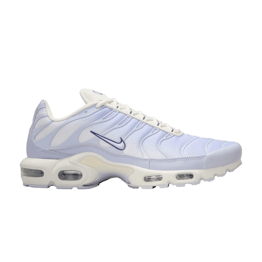 Blue Nike Tn Air Max Plus Sanded Purple IH0269-030 Men's Sleektrainers 
