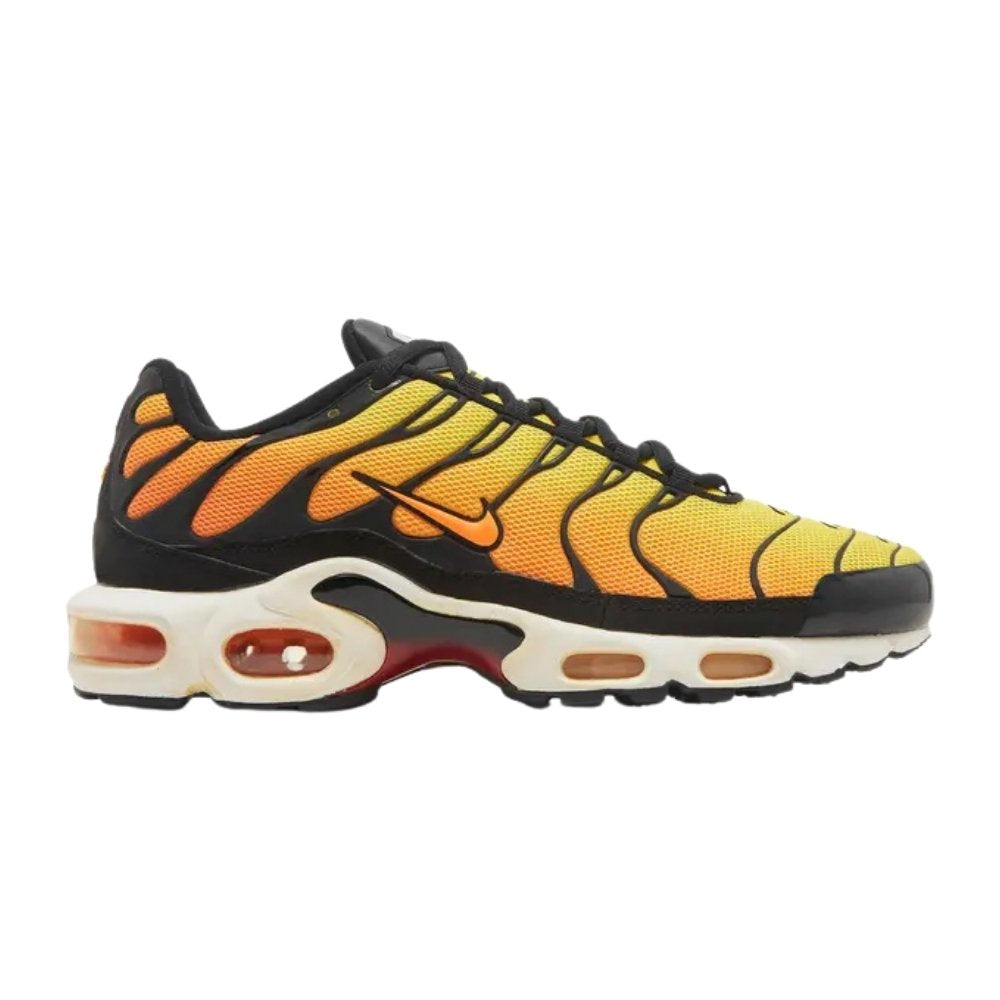 Nike Tn - Sunset (2014) - Men's