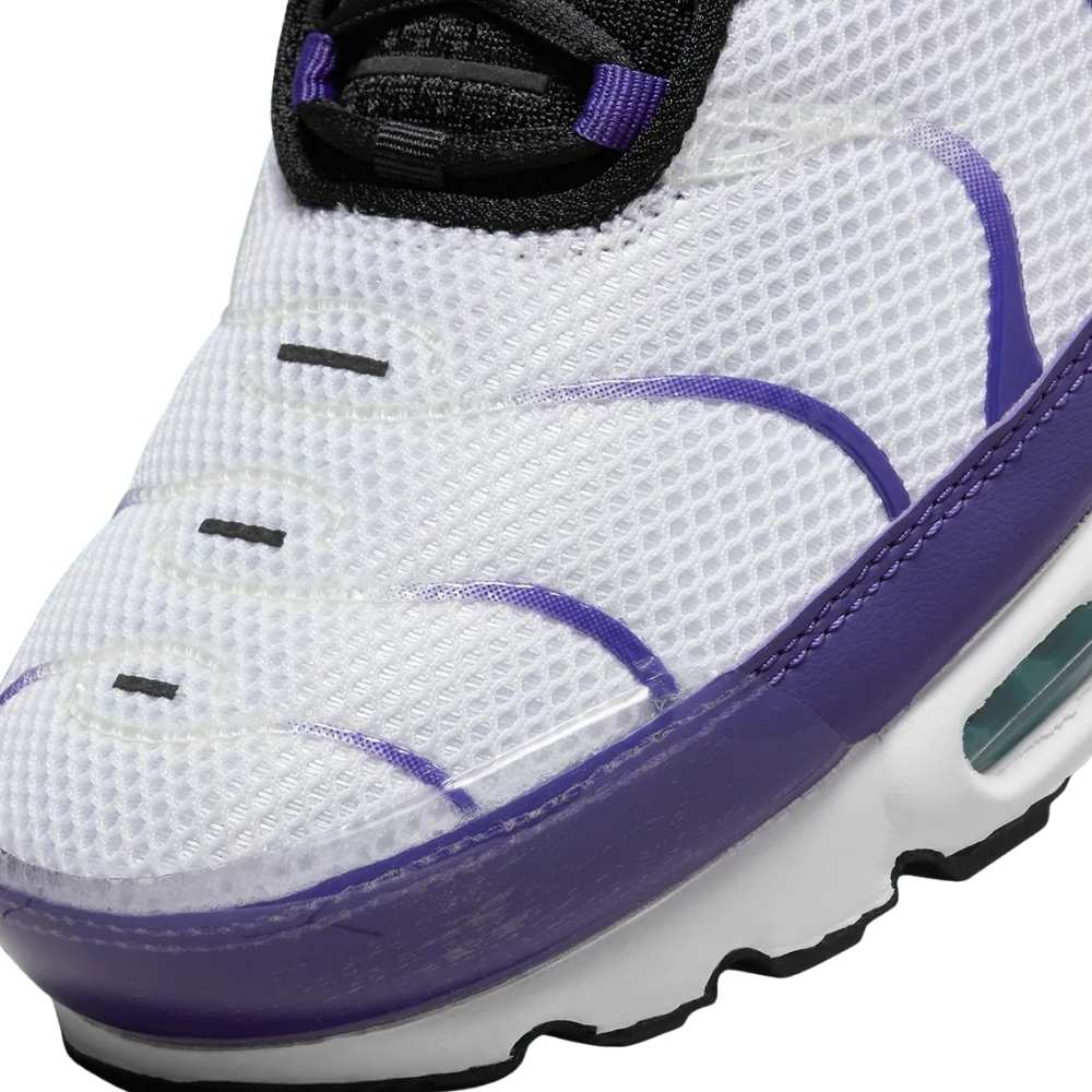 Purple Nike TN Air Max Plus White Grape Ice Sleektrainers DM0032-100